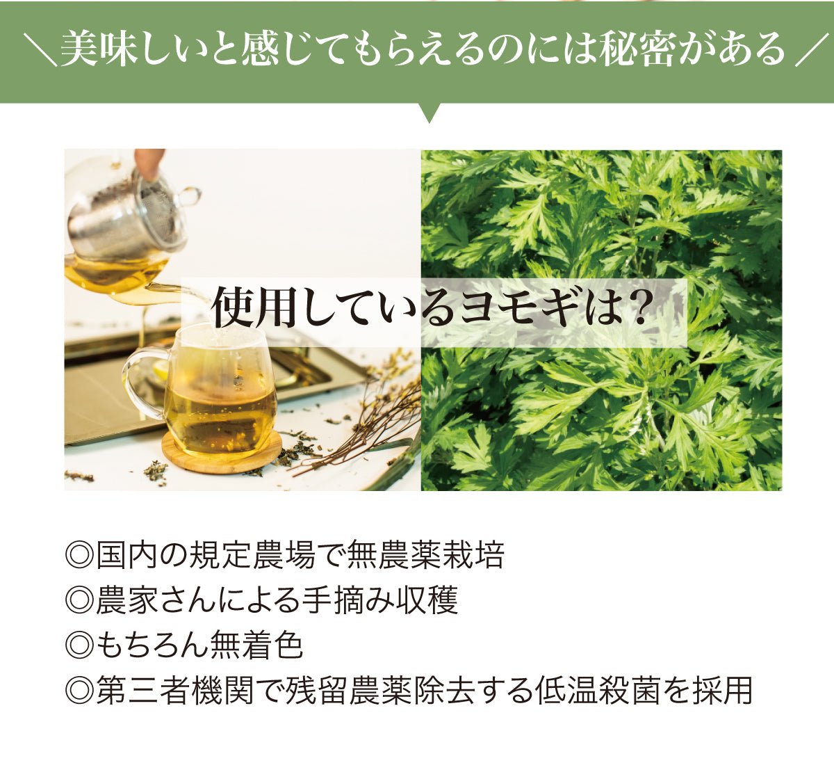 yomogiリーフタイプ30g - EVERY HERB TEA